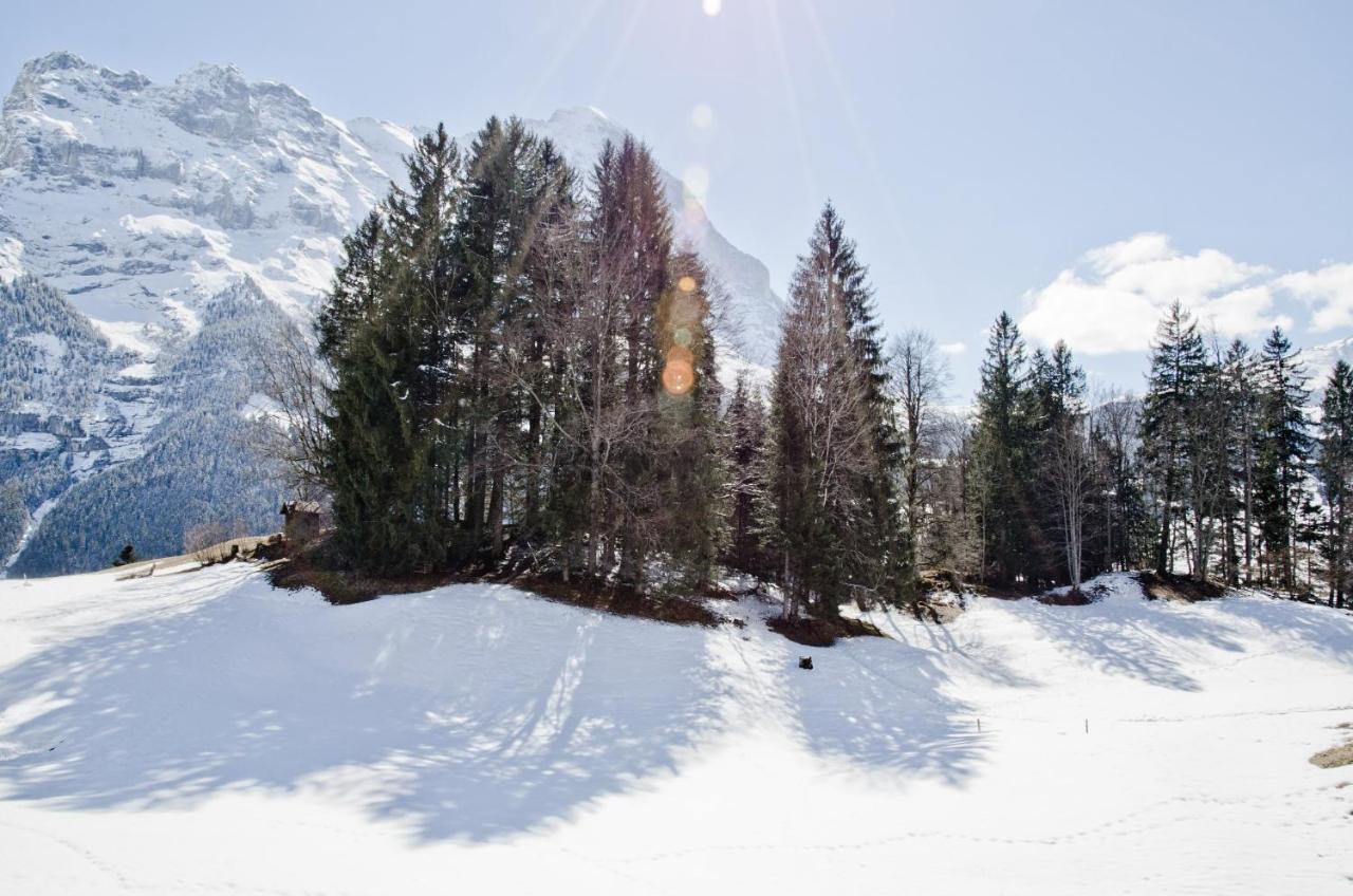 Apartment Grindelwaldgletscher - Griwa Rent Ag ภายนอก รูปภาพ